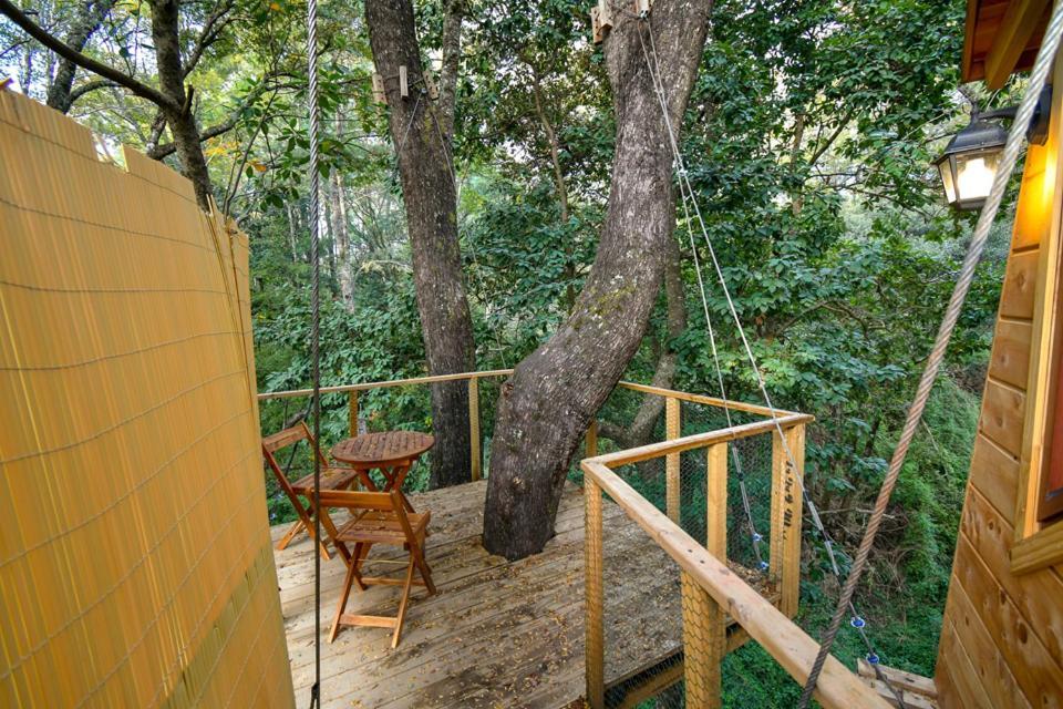 Cabanas Bosques De Loncotraro Hotel Villarrica Exterior foto